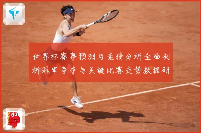 世界杯赛事预测与竞猜分析全面剖析冠军争夺与关键比赛走势数据研判