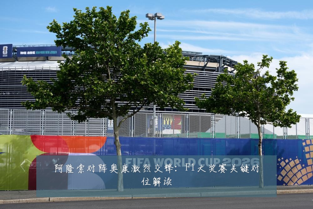 阿隆索对阵奥康激烈交锋：F1大奖赛关键对位解读